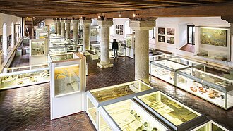 Archäologisches Museum der Stadt Kelheim